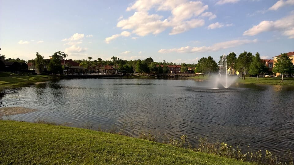 Large pond which is stocked with fish.