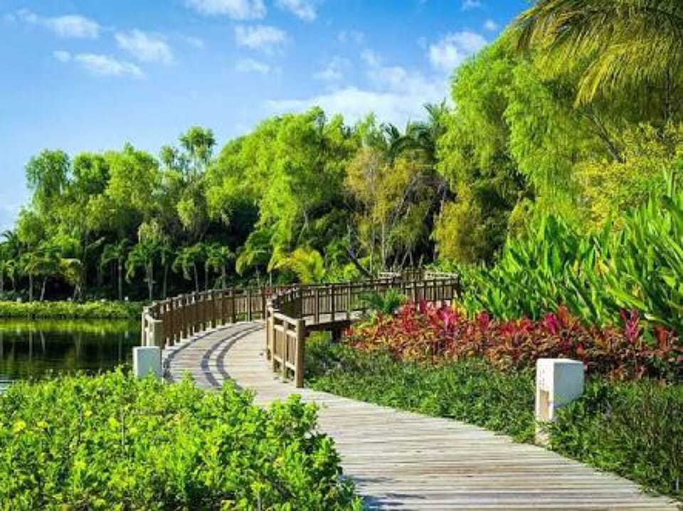 Pathway in Vidanta