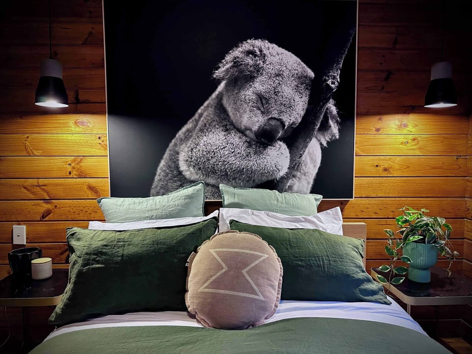 Sleeping Koala
