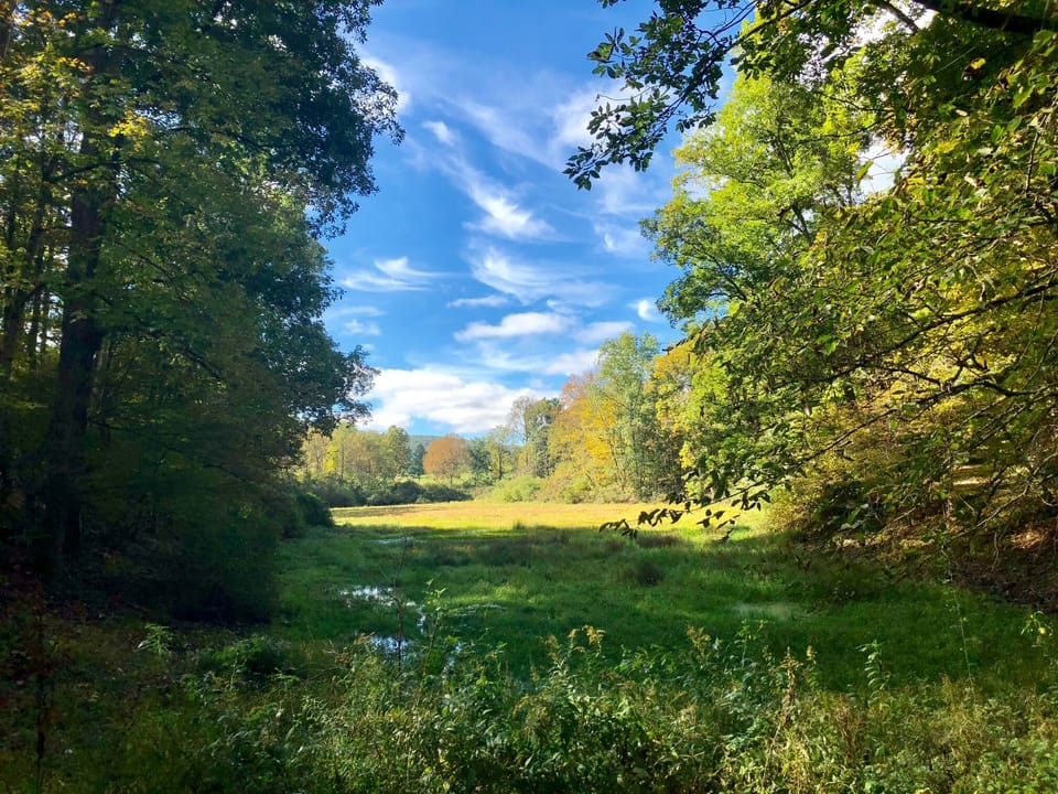 Wet lands