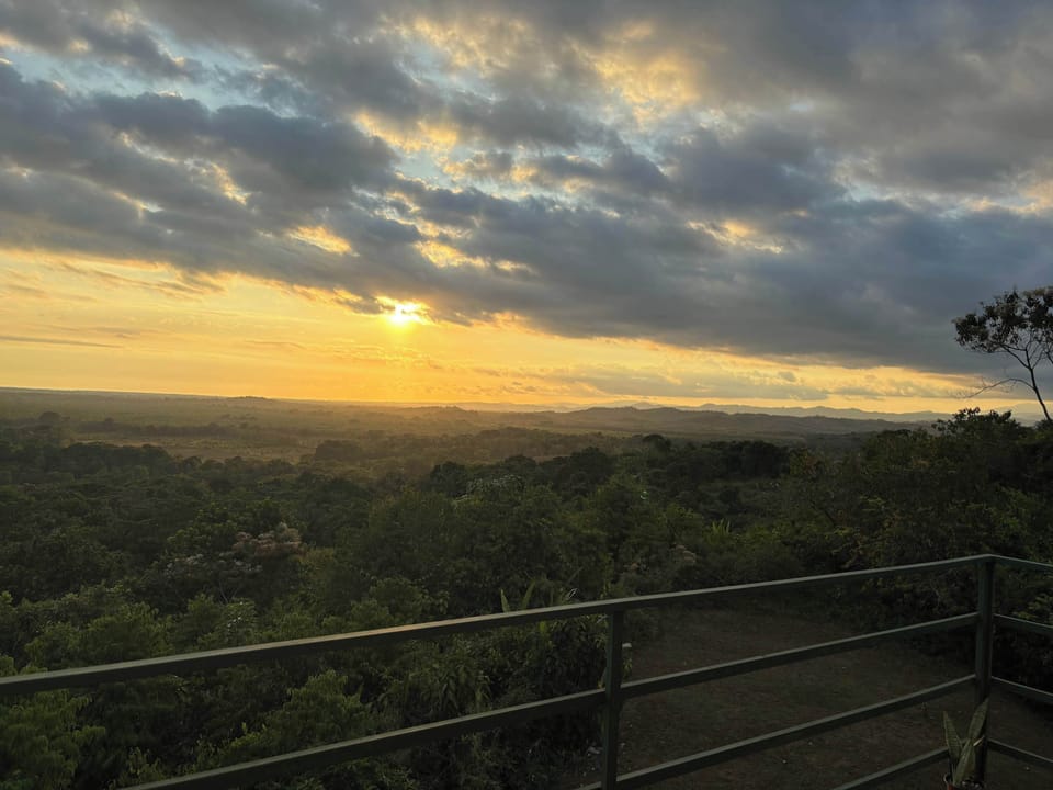 View from property