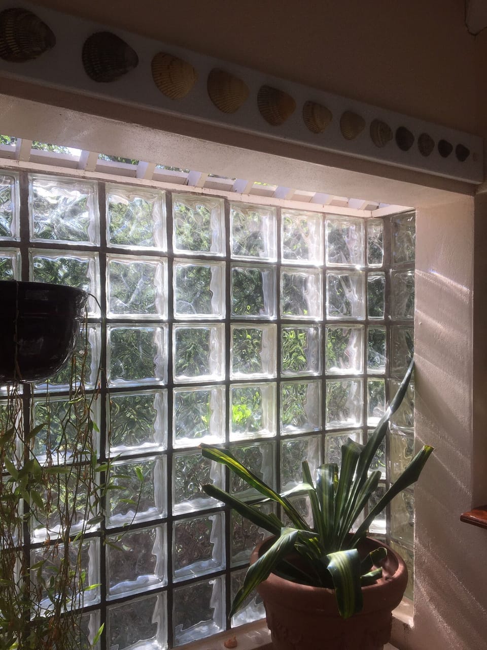 Glass block shower