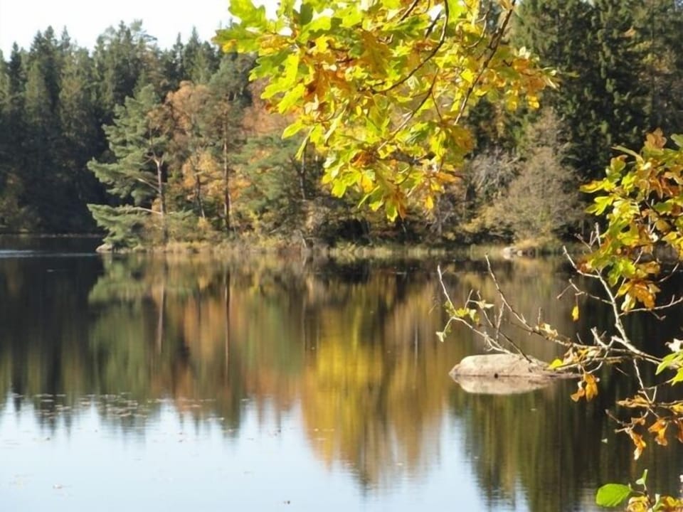 Lake