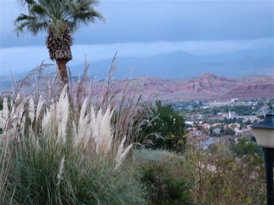View from patio