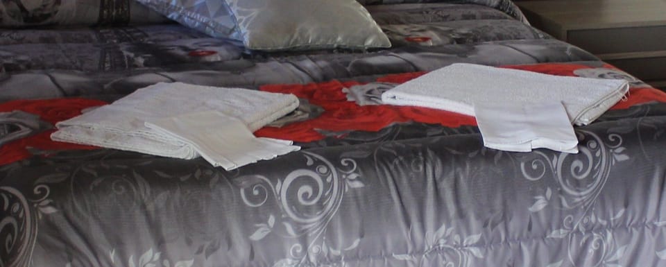 Shower, free toiletries, hair dryer, bidet