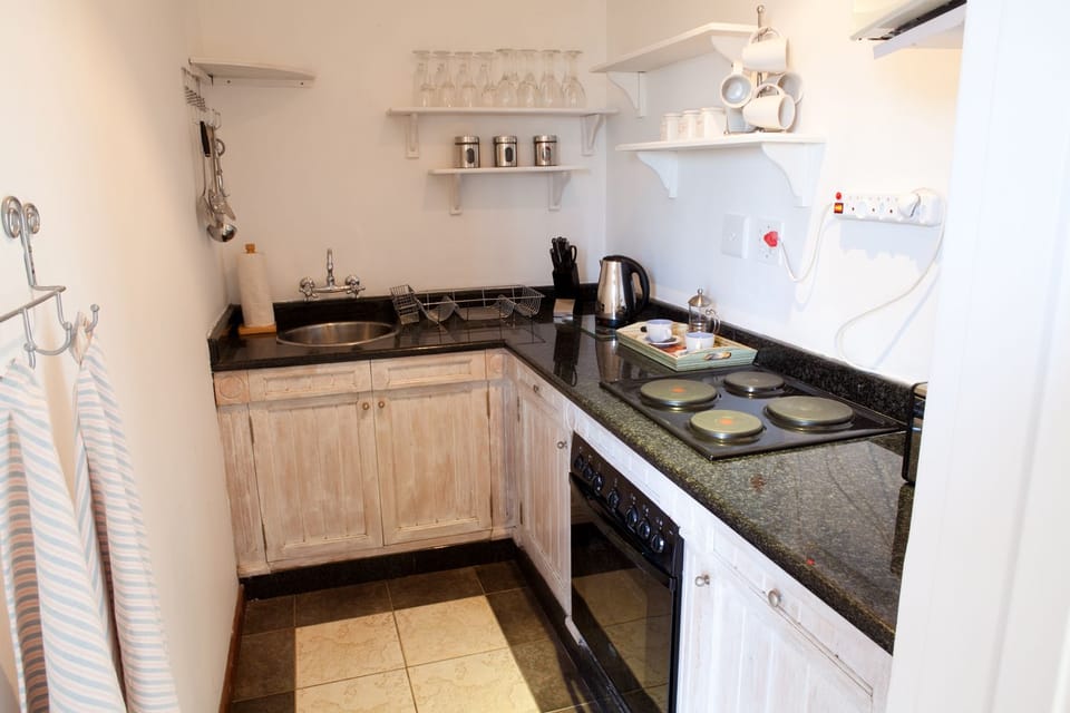 Studio | Private kitchen | Fridge, microwave, oven, stovetop
