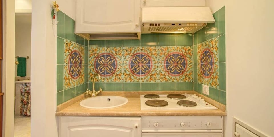 Panoramic Apartment, 1 Bedroom, Terrace | Private kitchenette | Fridge, stovetop, espresso maker, coffee/tea maker