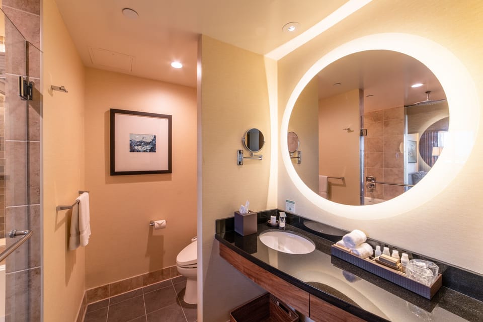 Free toiletries, hair dryer, bidet, towels