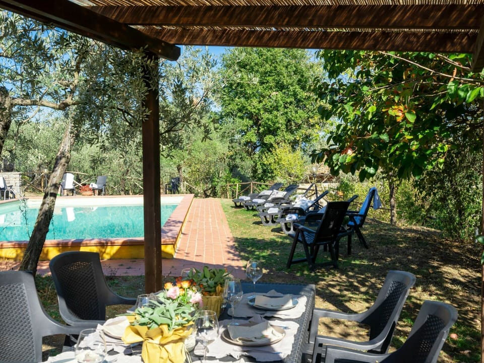 Plant, Table, Furniture, Property, Chair, Tableware, Nature, Botany, Leaf, Shade