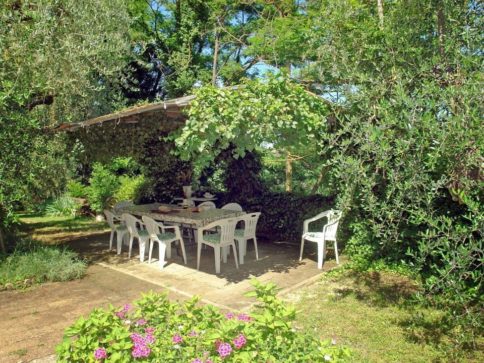 Garden, Property, Yard, Tree, Botany, Shrub, Plant, Flower, Spring, Furniture