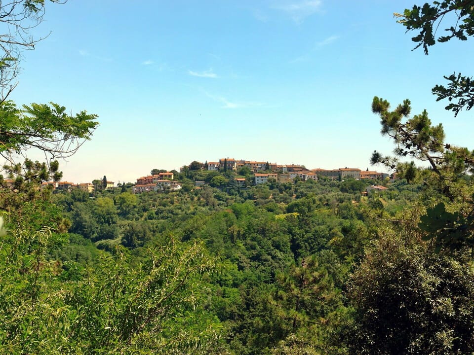 Vegetation, Sky, Nature, Natural Landscape, Tree, Green, Natural Environment, Biome, Nature Reserve, Leaf