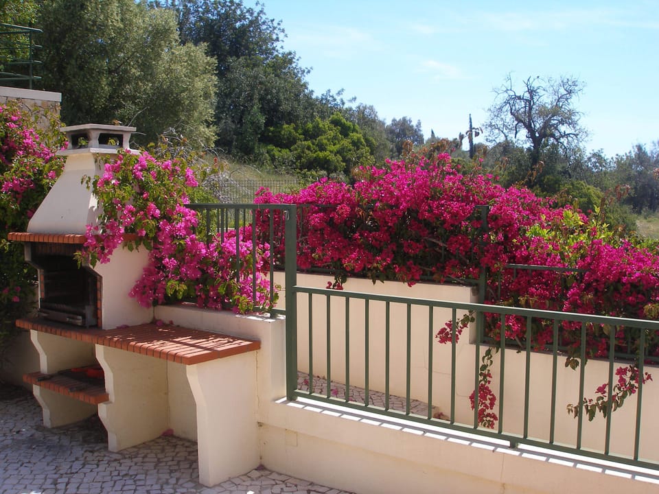 View of Pool from House