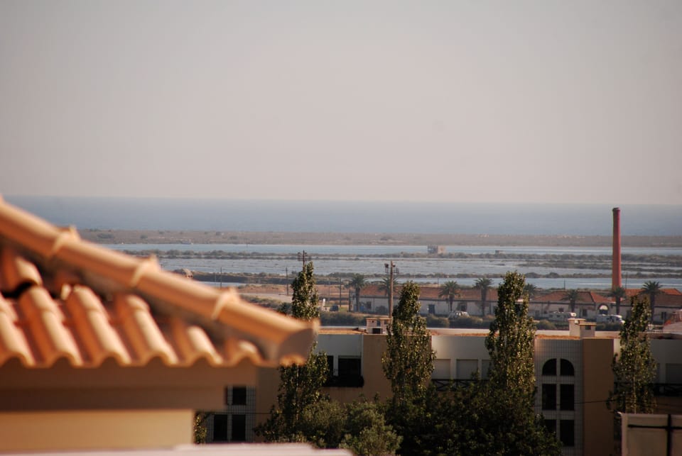 Looking across the Rooftop from the Front Balcony