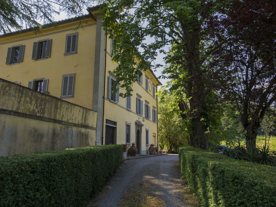 Property, Tree, Green, House, Architecture, Building, Estate, Wall, Grass, Home