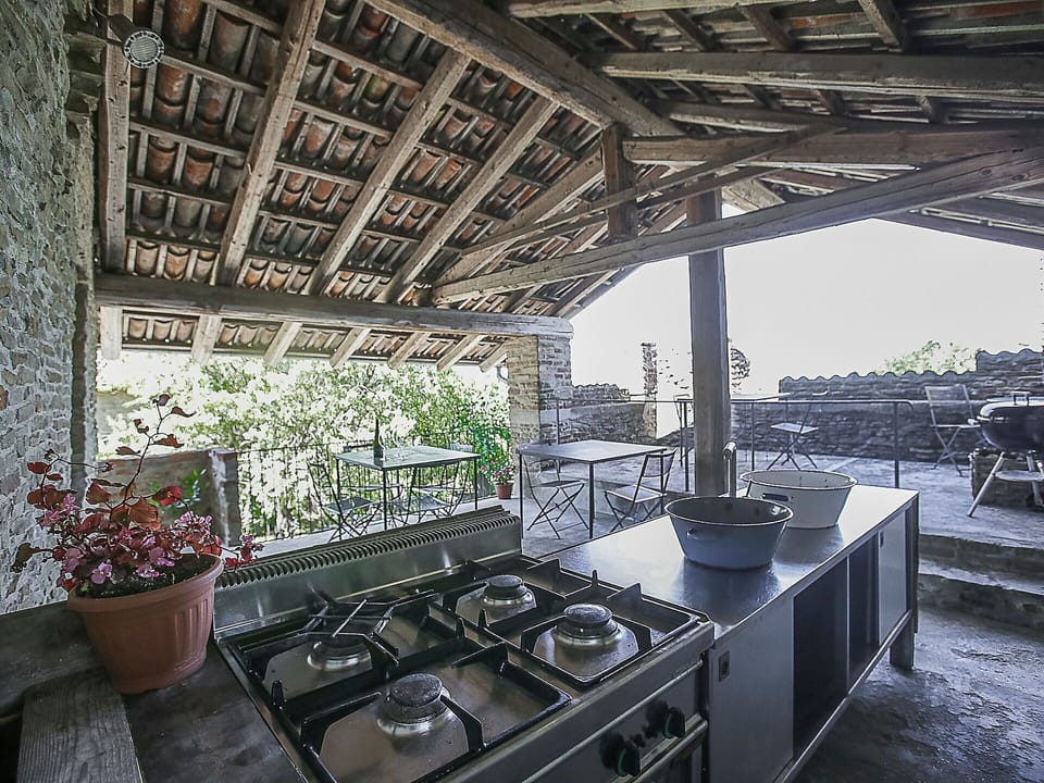 Plant, Property, Flowerpot, Gas Stove, Building, Houseplant, Cooktop, Kitchen Appliance, Cabinetry, Kitchen Stove