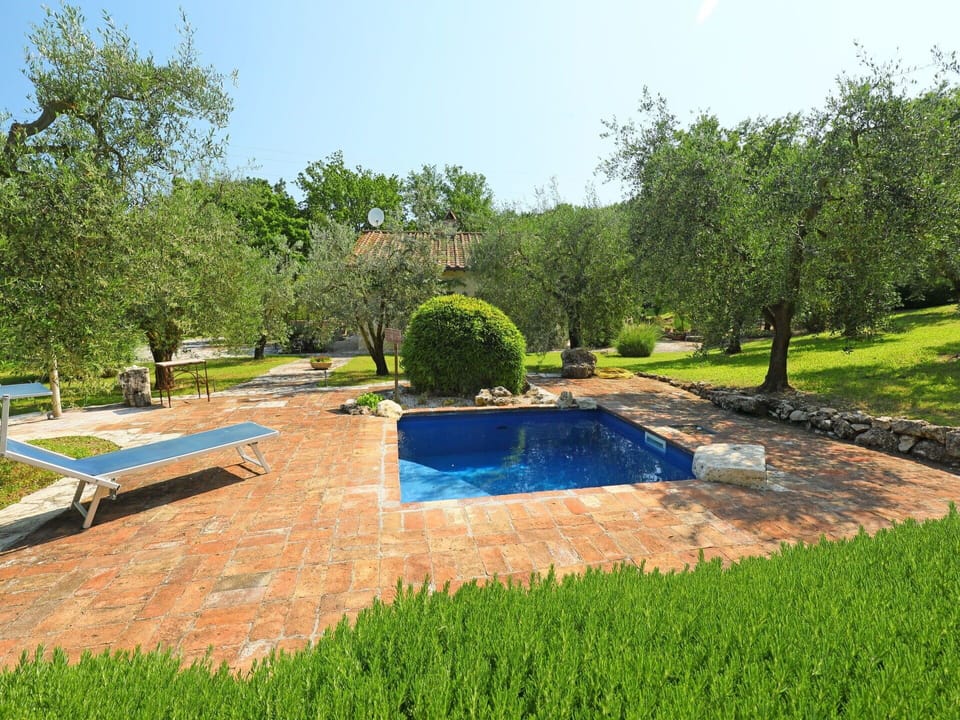 Swimming Pool, Property, Backyard, Natural Landscape, Grass, Yard, Real Estate, Estate, Landscaping, Landscape