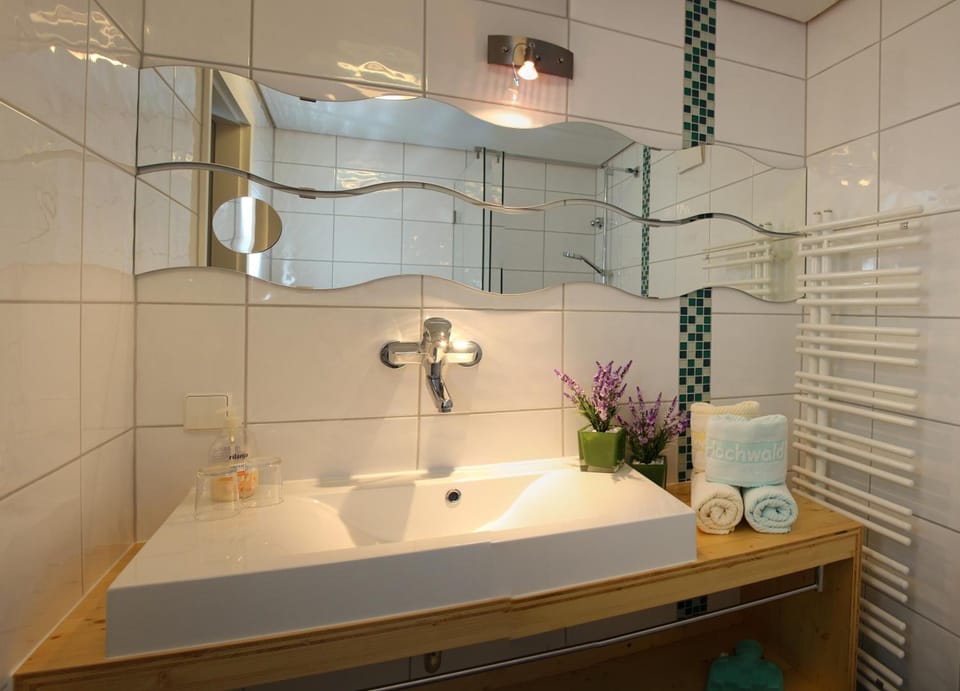 Shower, eco-friendly toiletries, hair dryer, slippers
