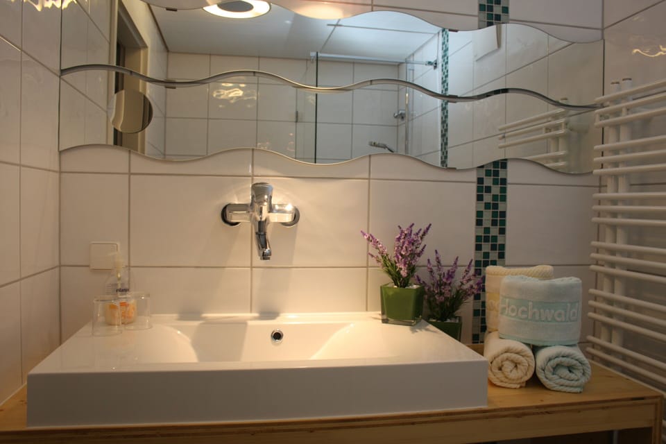 Shower, eco-friendly toiletries, hair dryer, slippers
