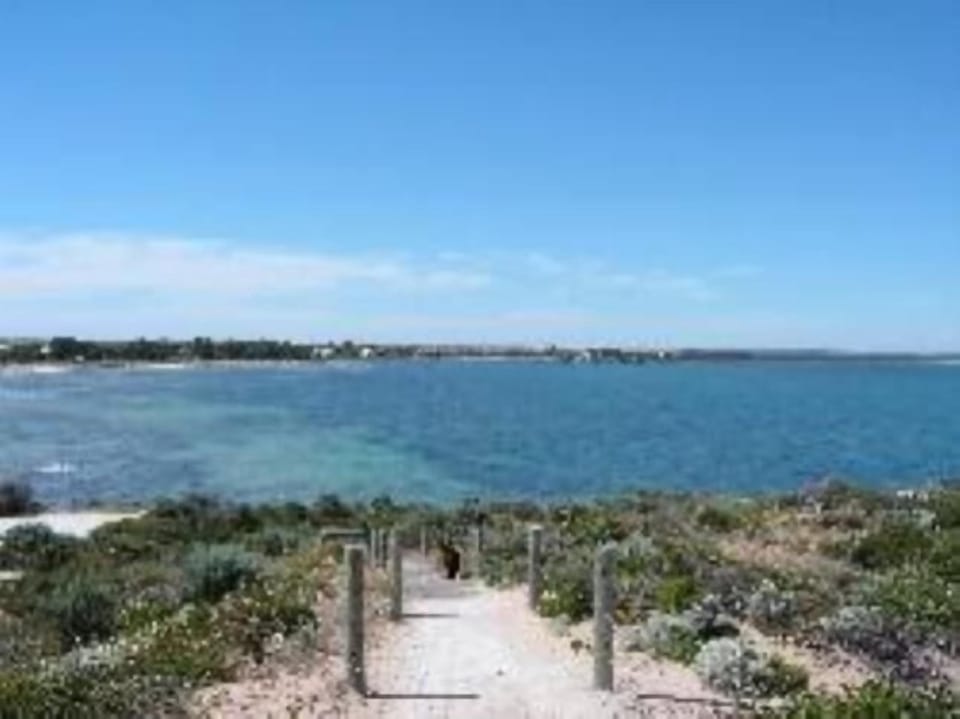 Penguin Point