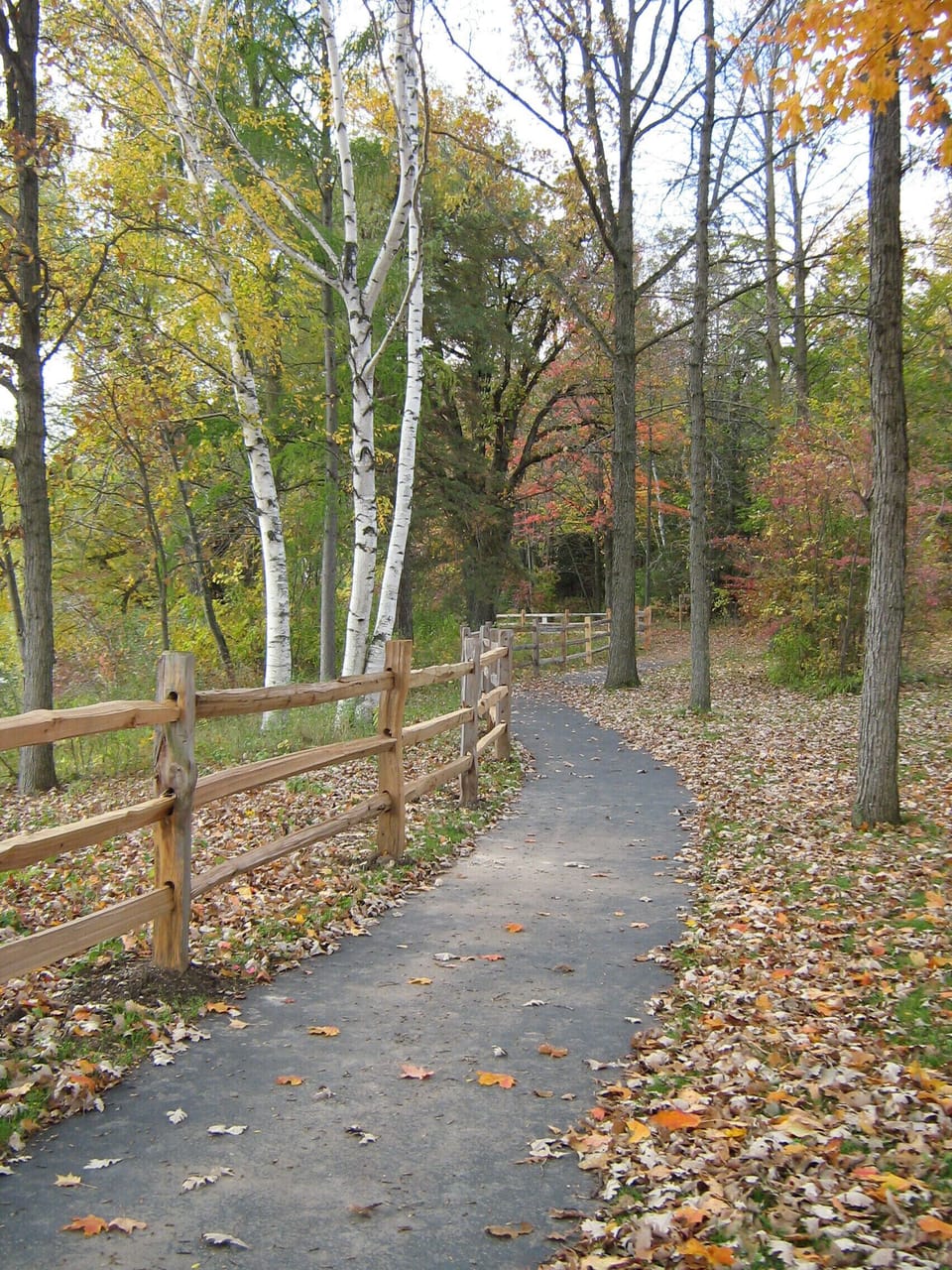 Trail at Yahr Park.