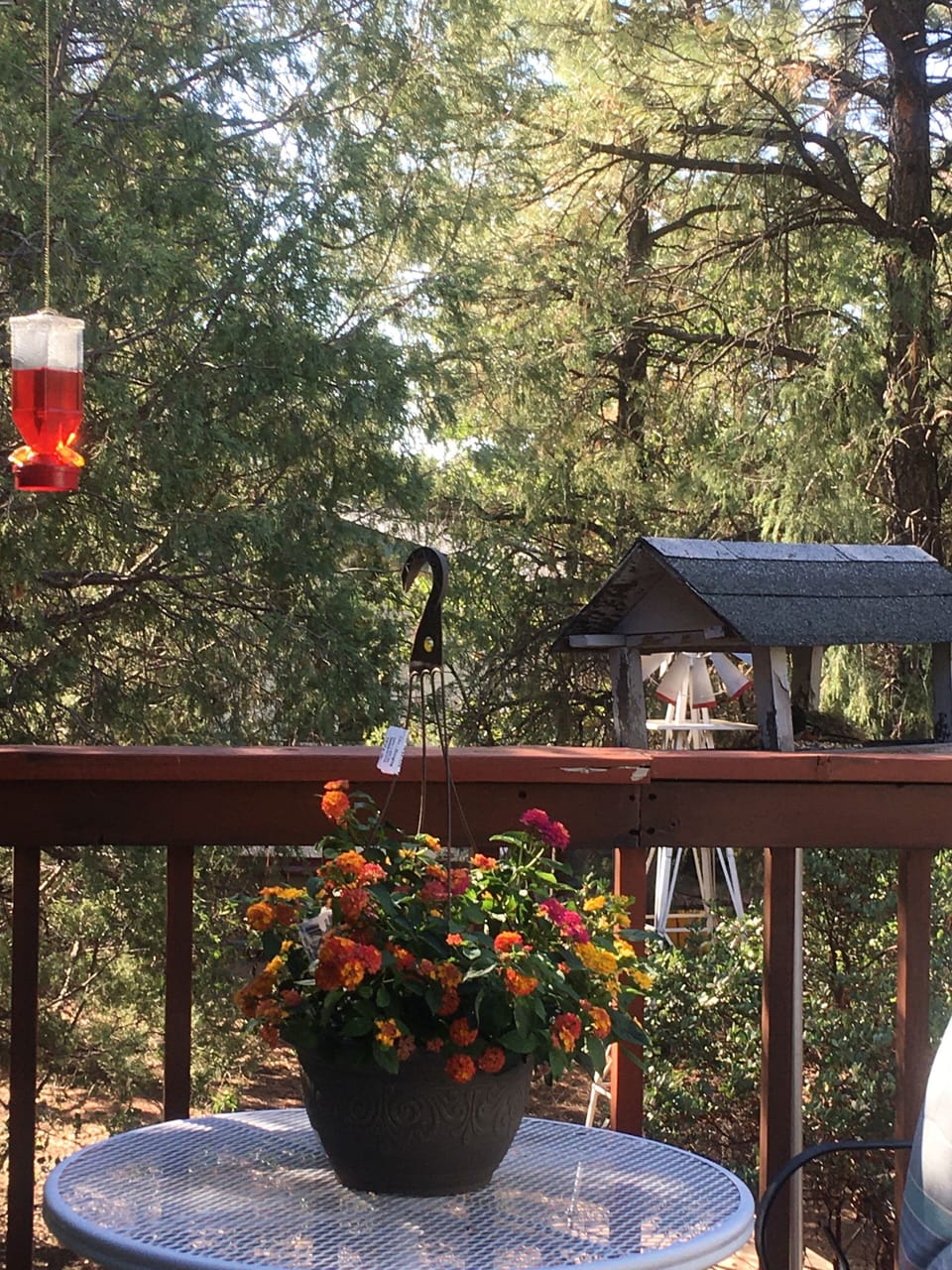 On the deck 