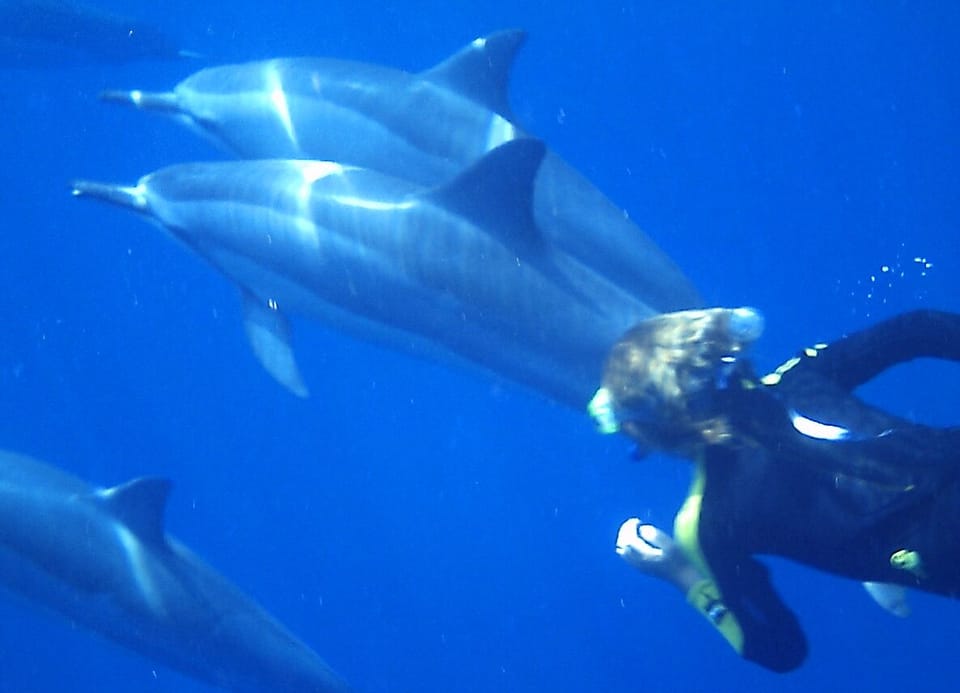 Hale Kai guest enjoying a swim with Spinner Dolphins just offshore of the house.