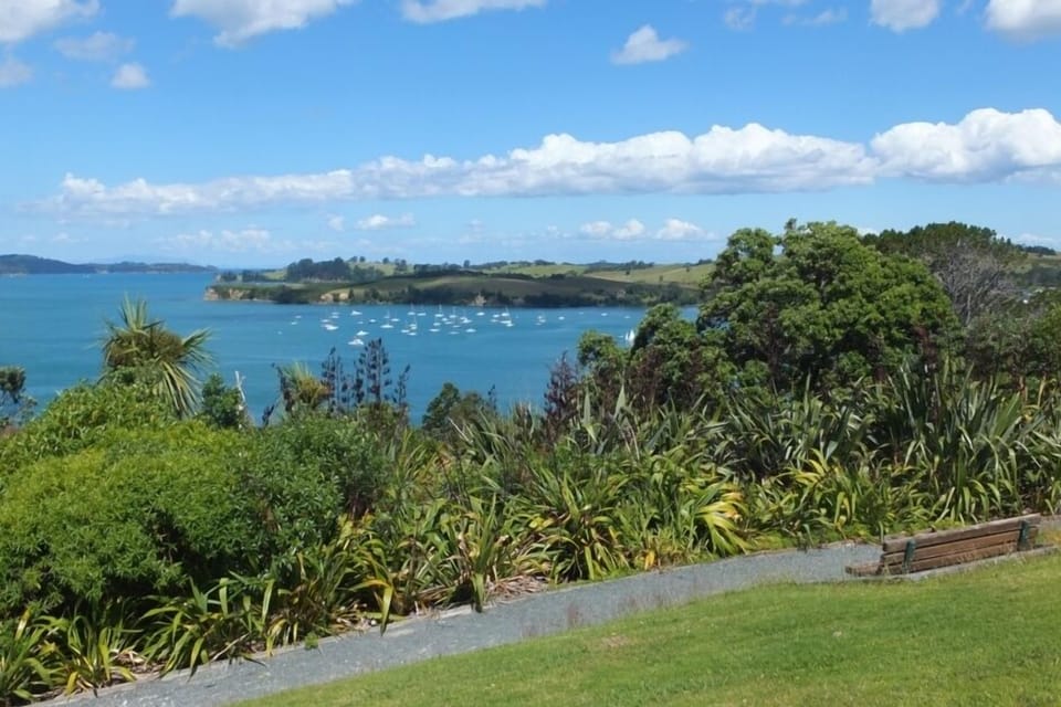 Algies Bay from Highfield Reserve