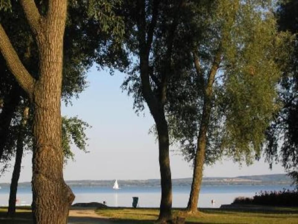 Beach view