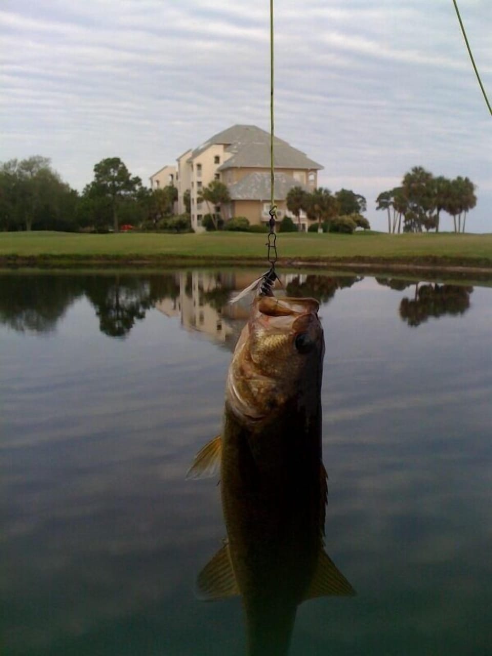 fish caught from lake