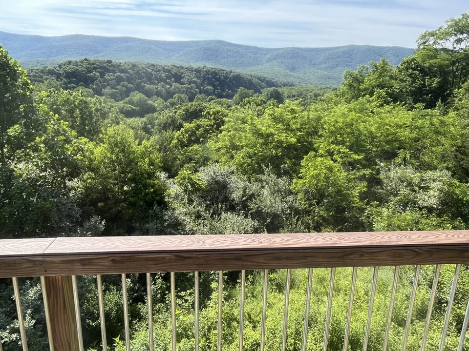 Deck views. 