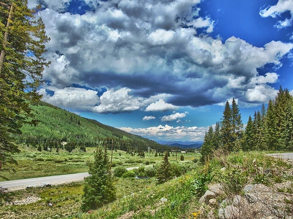View from walkout basement patio