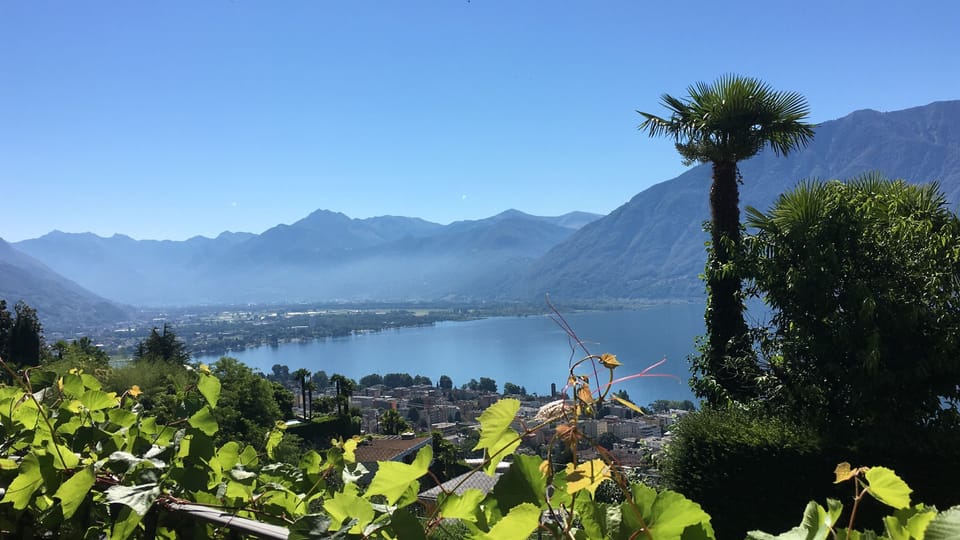 Beautiful house with pool, garden and terrace, quiet location + beautiful views House in Locarno