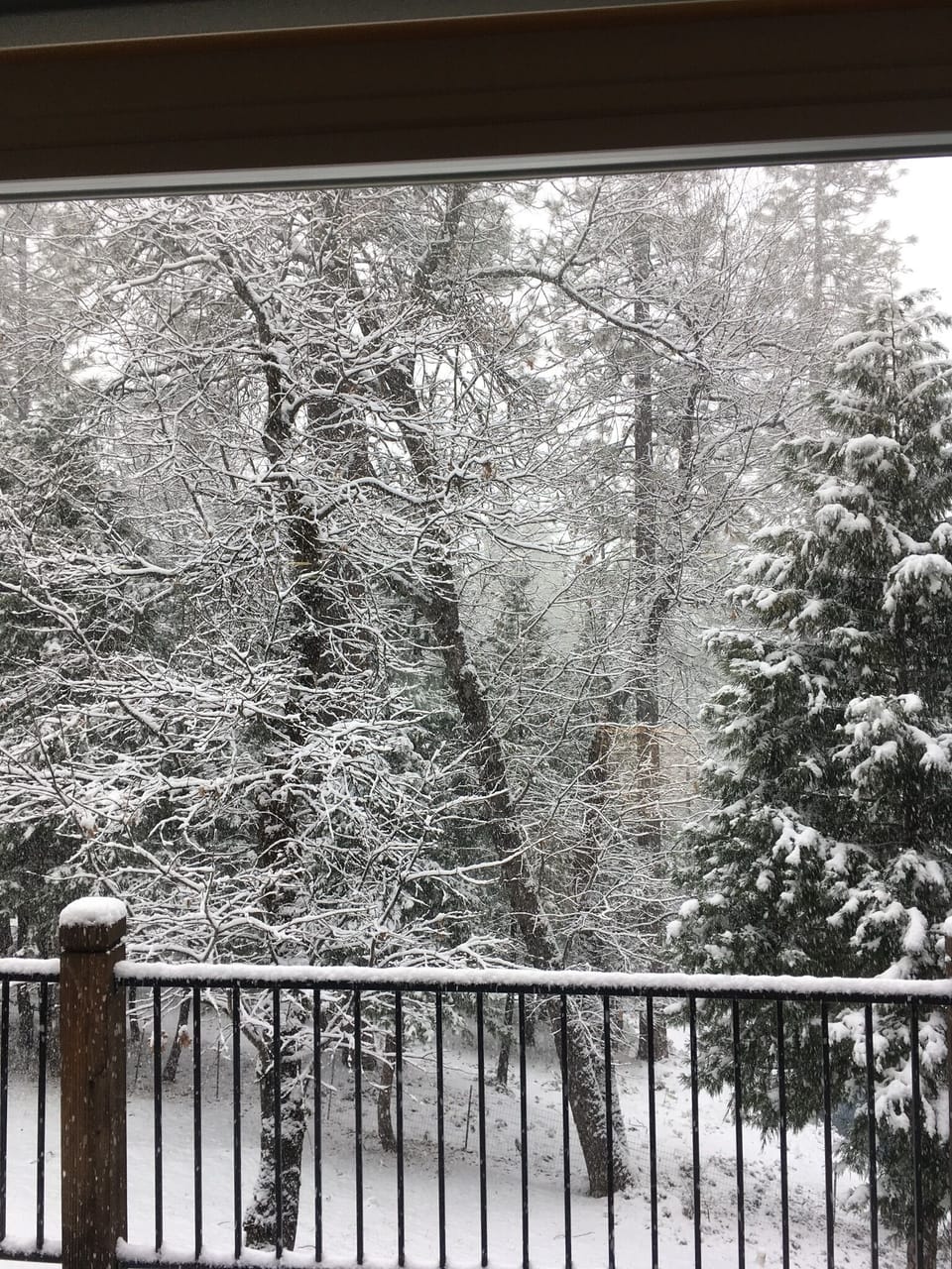 Sometimes it happens and it looks great!!!