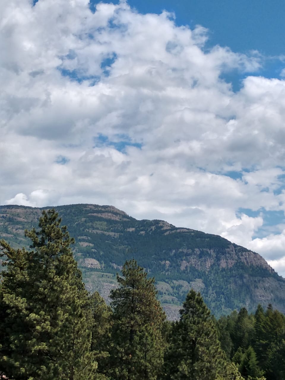 View on the approach to the cabin.