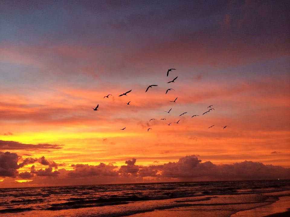 Sunrise (credit S. Coleman, guest)