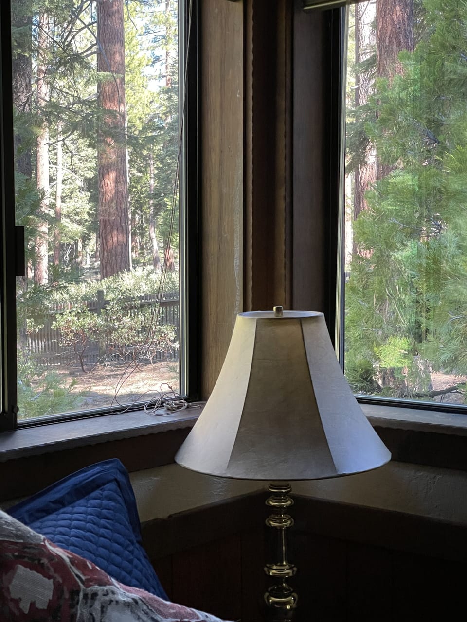 View of forest from the bedroom window. 