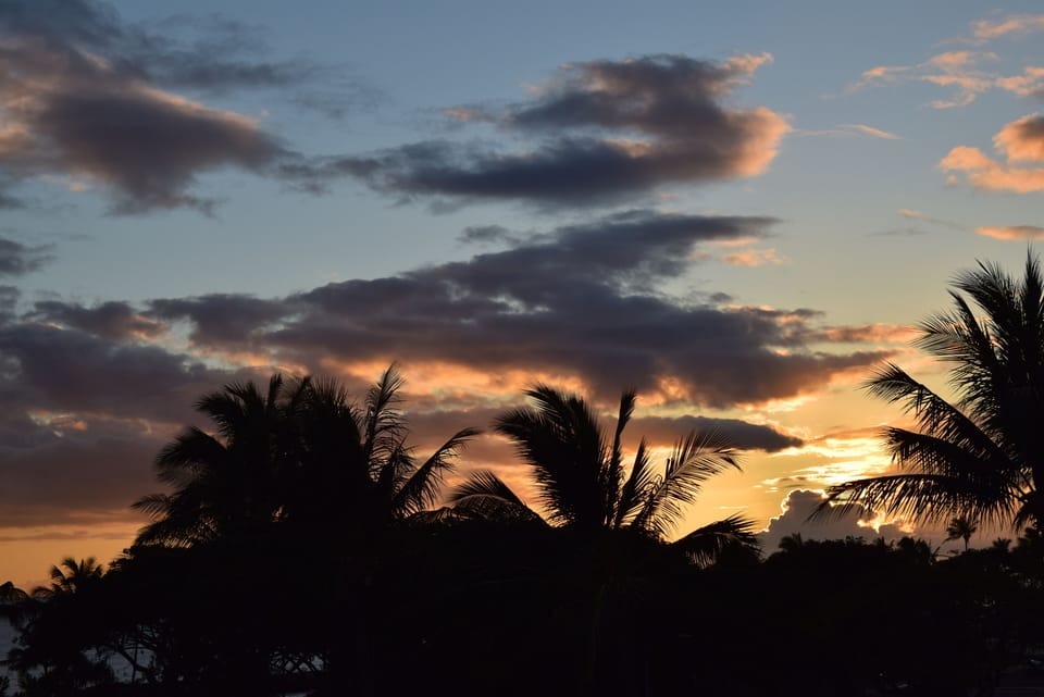 View from lanai