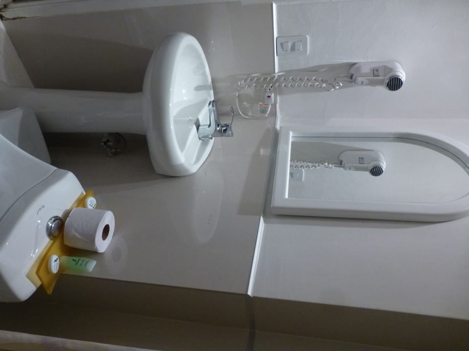 Shower, hair dryer, towels, toilet paper