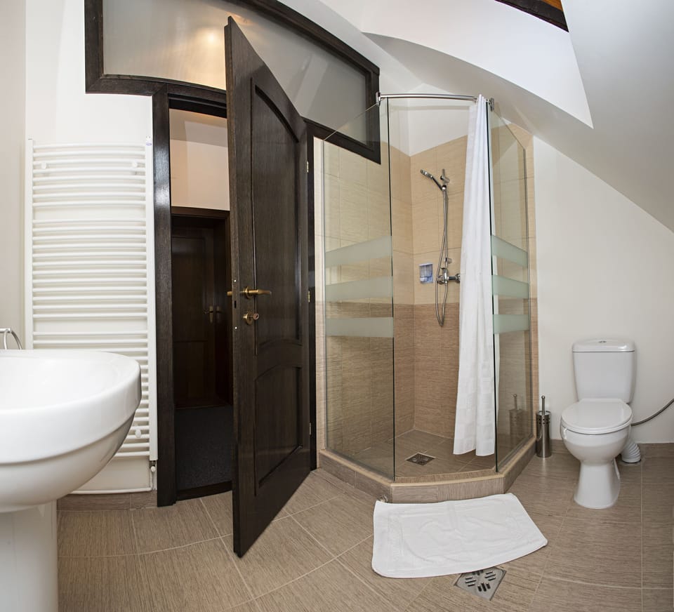 Shower, free toiletries, hair dryer, towels