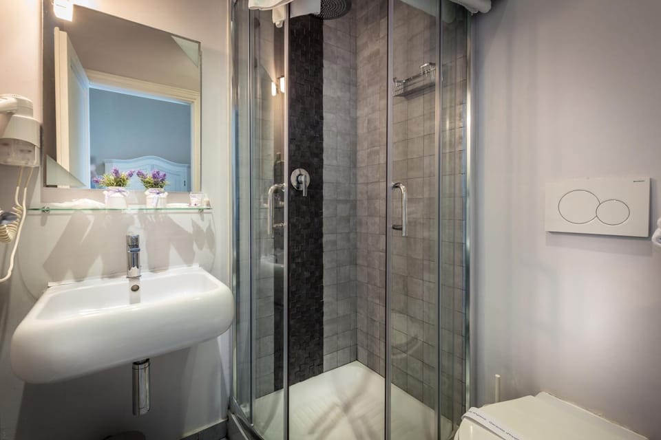 Shower, free toiletries, hair dryer, bidet