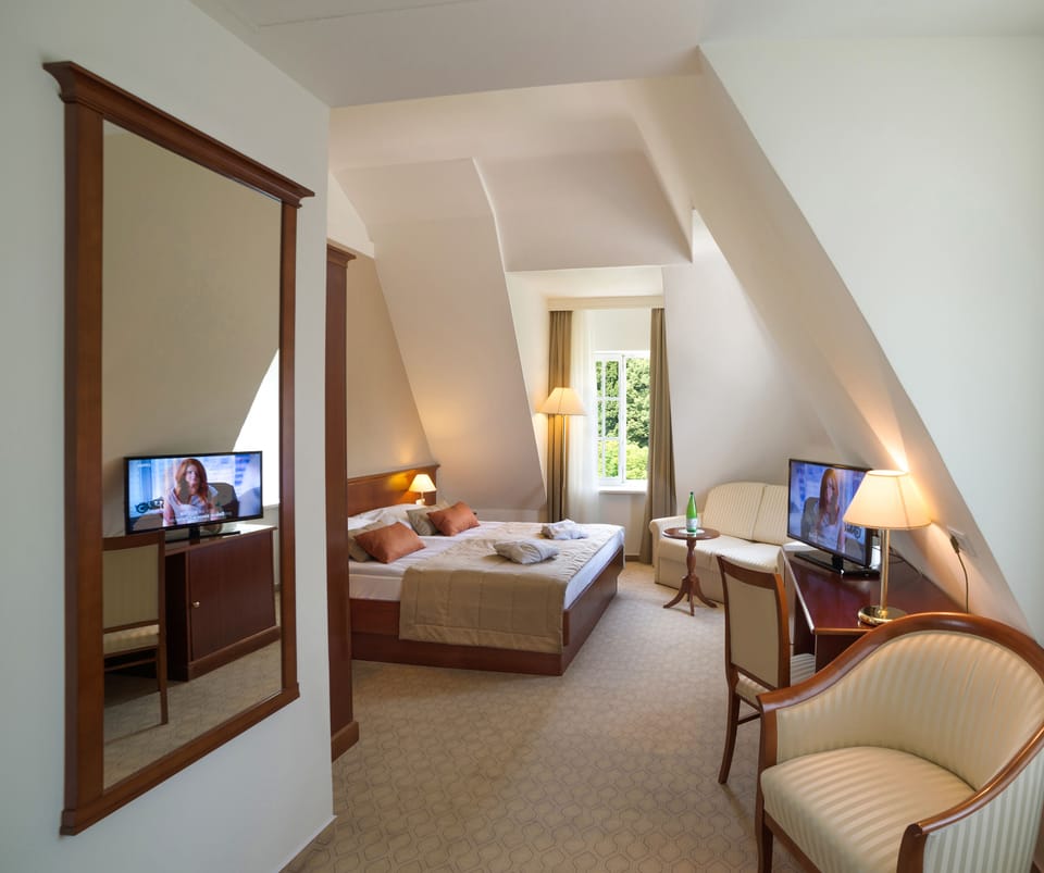 Premium Double Room, Park View - 4 Star (historic building) | Minibar, in-room safe, desk, blackout drapes