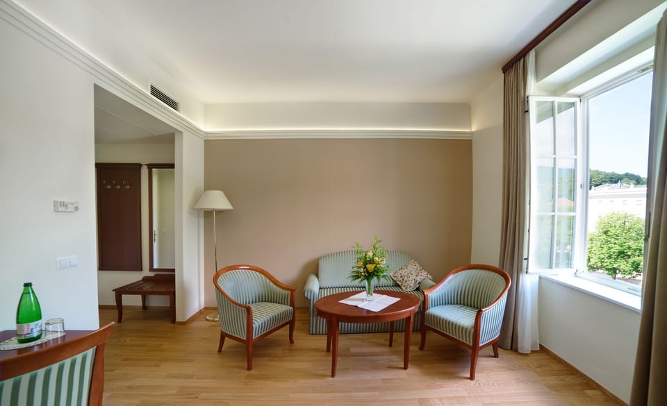 Premium Suite, Park View | Living area | 30-inch LED TV with cable channels, TV