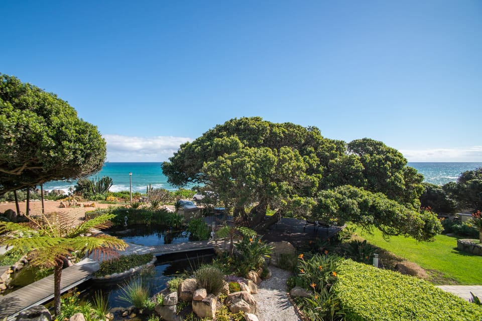 Panorama Suite | View from room