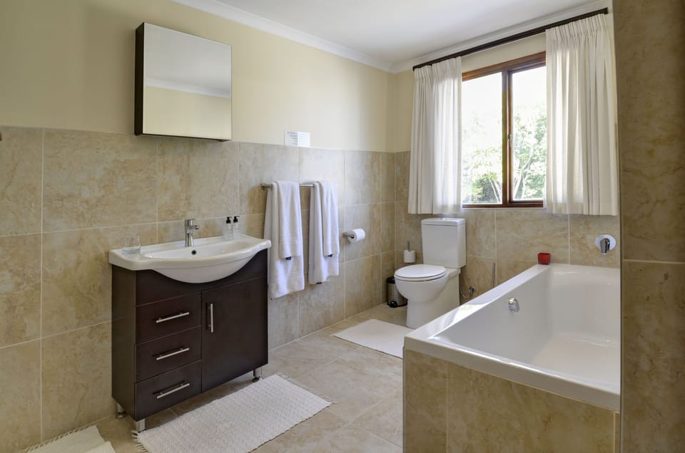 Deluxe Room | Bathroom | Shower, free toiletries, hair dryer, towels