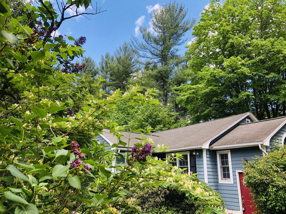 Gorgeous in all seasons, both Phoenicia and the Hideaway. 