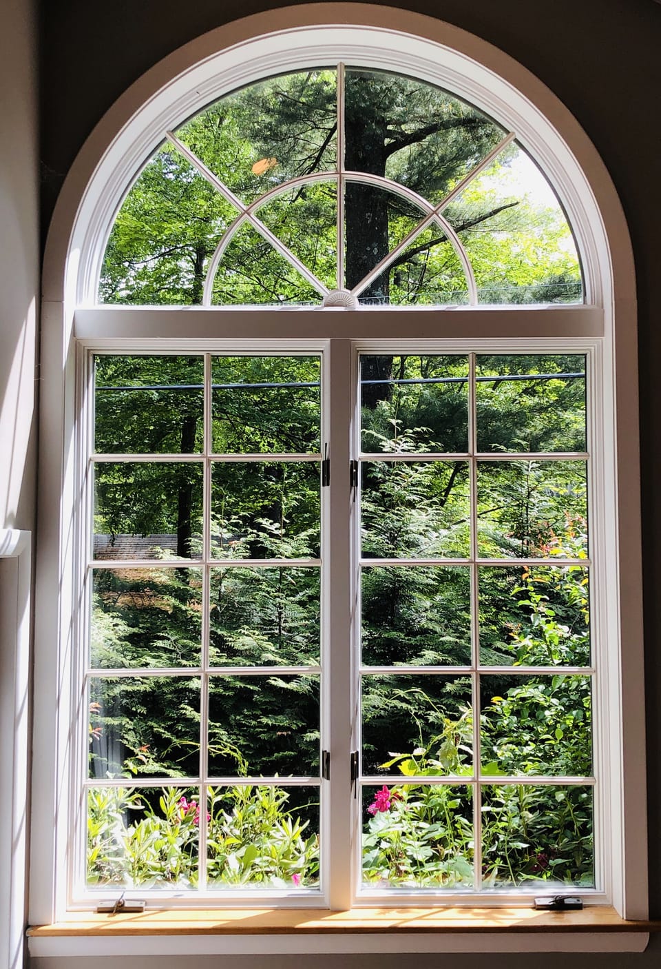 The views from the house are pretty great. I love the tall windows. 
