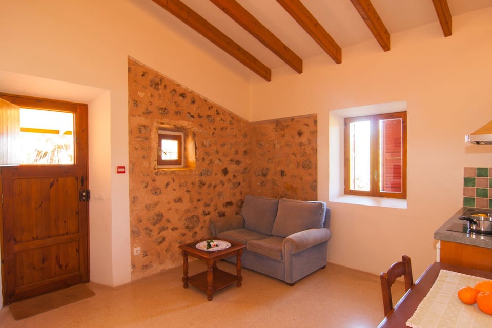 Apartment, 1 Bedroom, Kitchenette (Es Colomer) | Living area | Flat-screen TV