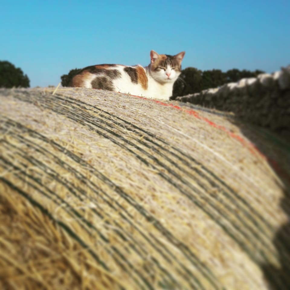 Ecotours