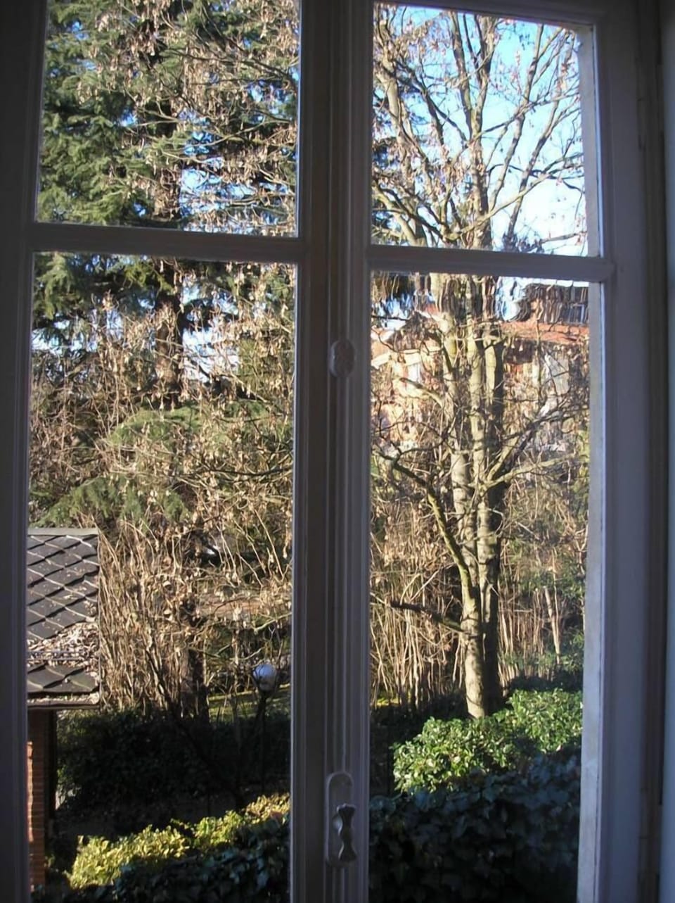 view from the kitchenette