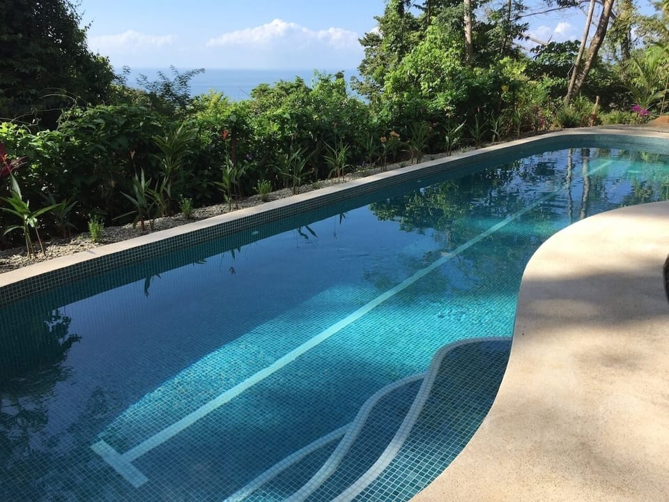 Pool with Rainforest & Ocean View